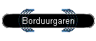 Borduurgaren